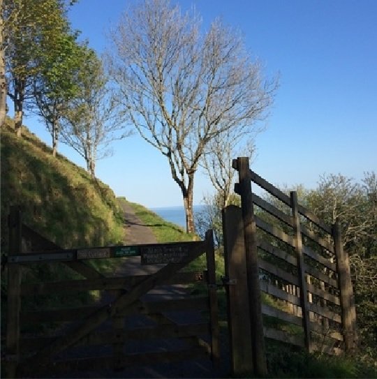 2017 Hollerday Hill gate, Christine Brett