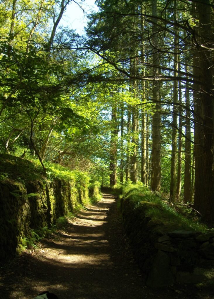 2018 Brendon footpath, Christine Brett