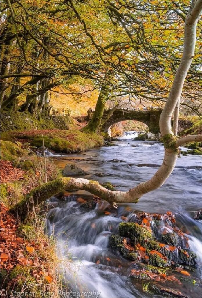 2018 Robbers Bridge, Jon Coole