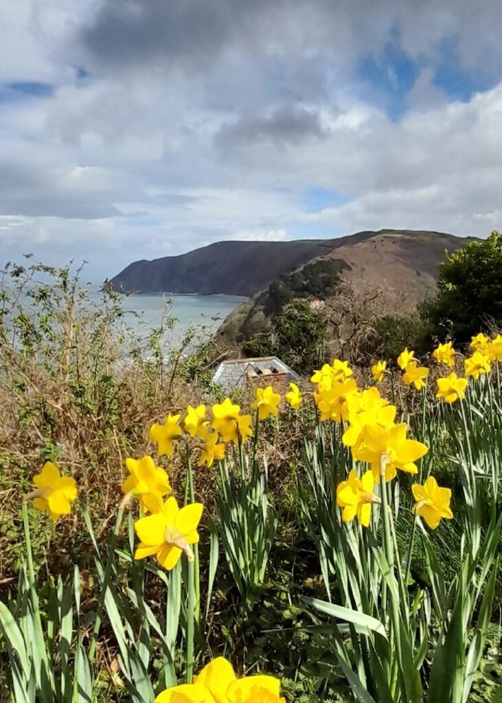 LL103. From St Mary’s Church, Tony Piper, September 2023