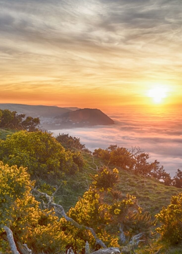 LL39. Sea mist, Jon Coole June 2018