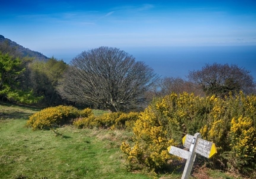 LL5. Coastal path near Yenworthy, Jon Coole, August 2015
