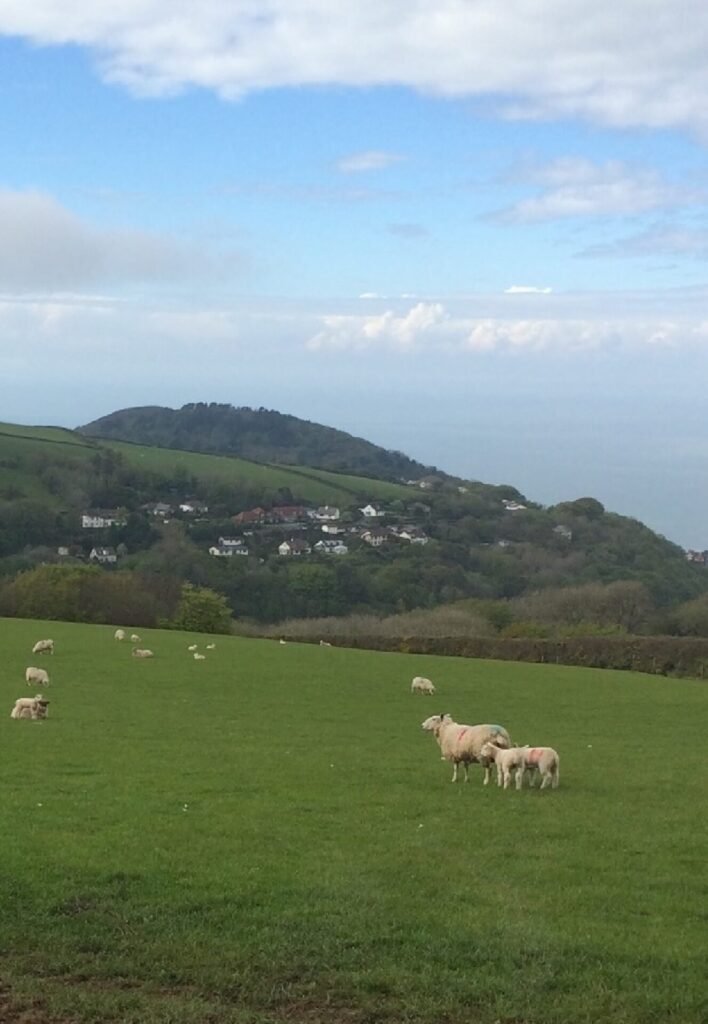 LL61 View from West Lyn, Christine Brett, April 2020