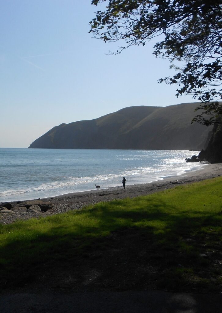 LL76. Sunshine over the sea, Bill Pryor, June 2021