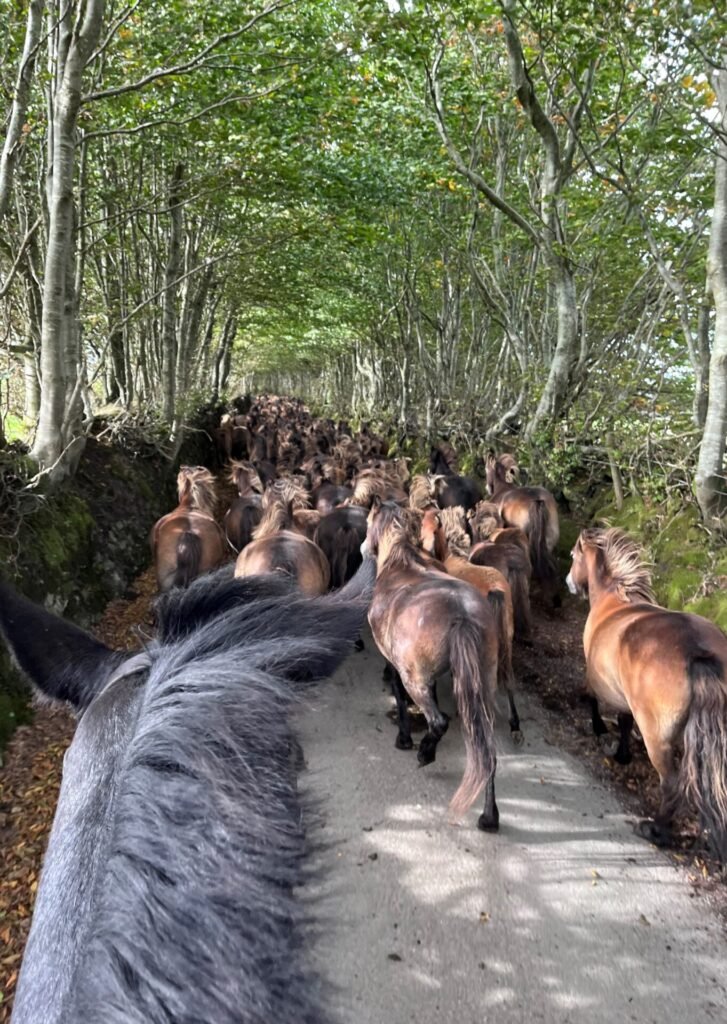 LL93. Tippbarlake Gathering, Lexi Floyd, November 2022